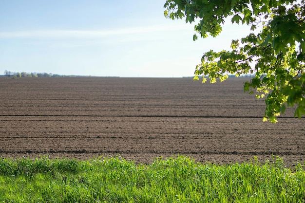 Landschaft mit gepflügtem Feld mit Fokus auf dem Vordergrund