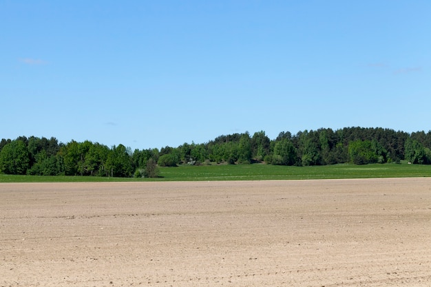 Landschaft mit gepflügtem gelbem Boden, grünem Wald und blauem Himmel