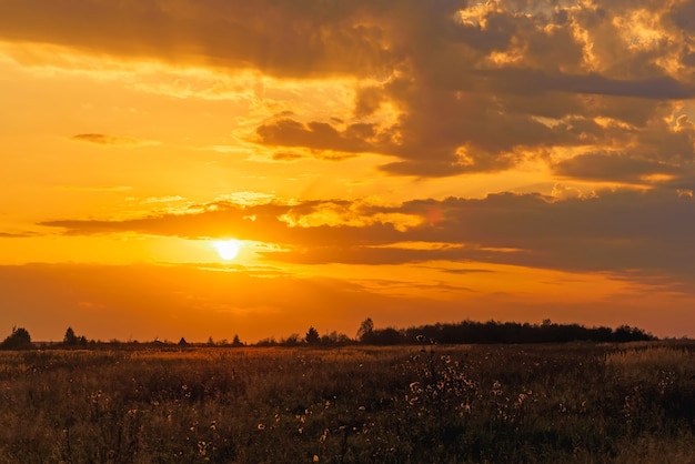 Landschaft mit goldenem Sonnenuntergang im Herbst auf dem Feld