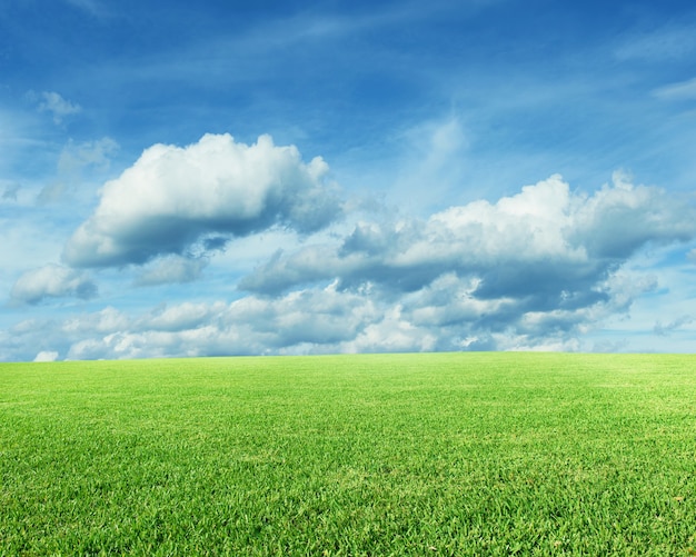 Landschaft mit grünem Gras und blauem Himmel