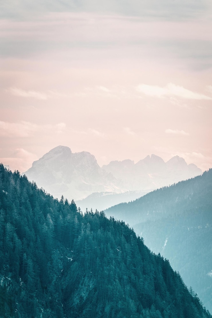 Foto landschaft mit grünen bäumen und bergen foto
