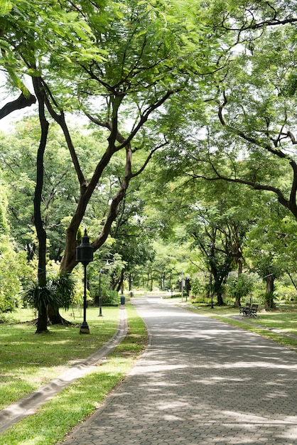 Landschaft mit Joggingbahn im grünen Park