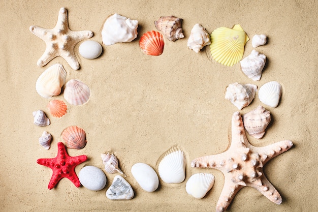 Landschaft mit Muscheln am tropischen Strand. Am Strand ausruhen. Reise. Hintergrund mit Kopierraum.