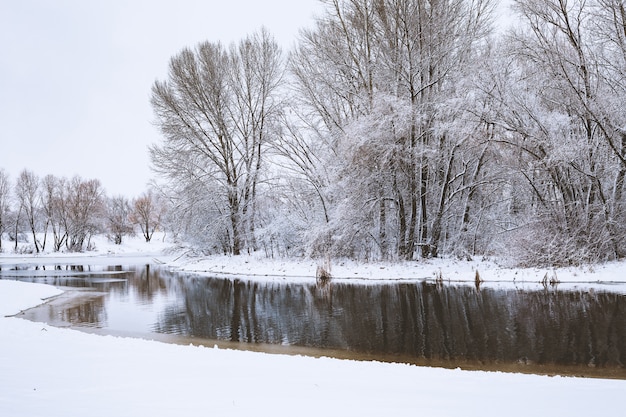 Landschaft mit Schneebäumen gefrorener Fluss mit Reflexion im Wasser