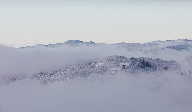 Landschaft mit schneebedeckten Bäumen