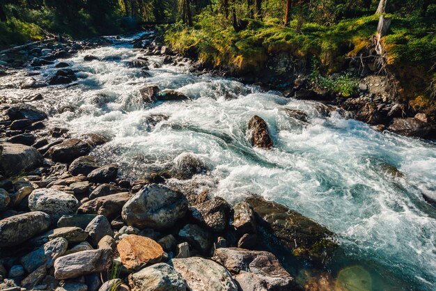 Landschaft mit schnellem Gebirgsbach mit klarem türkisfarbenem Wasser am sonnigen Tag