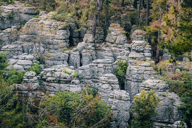 Landschaft mit Stein- und Felsresten in der Nähe des Dorfes Altinkaya in der Türkei