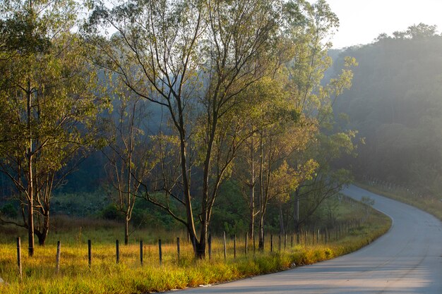 Foto landschaft mit straße, zaun und baum im frühen morgenlicht. brasilien.