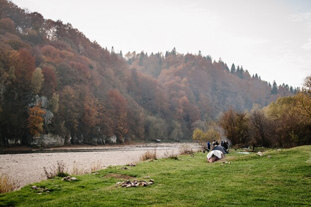 Landschaft mit Wald, Fluss und Steinen