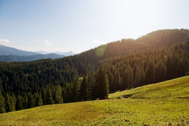 Landschaft mit Waldbergen.