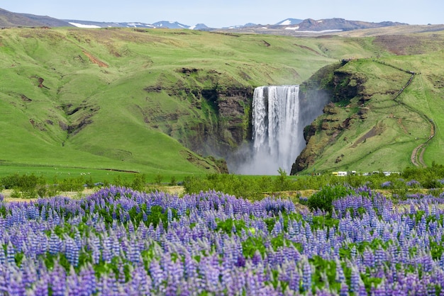 Landschaft mit Wasserfall Skogafoss Island