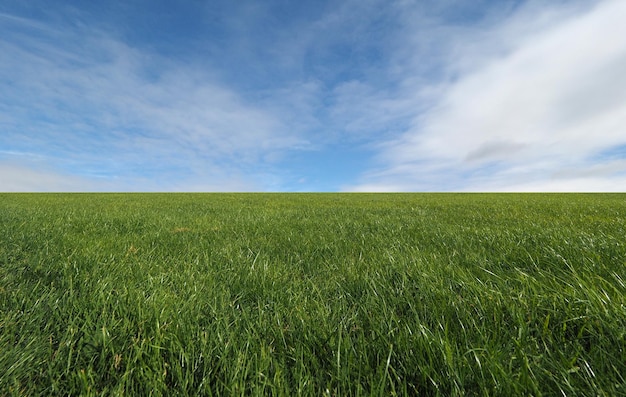 Landschaft mit Wiese und Himmel