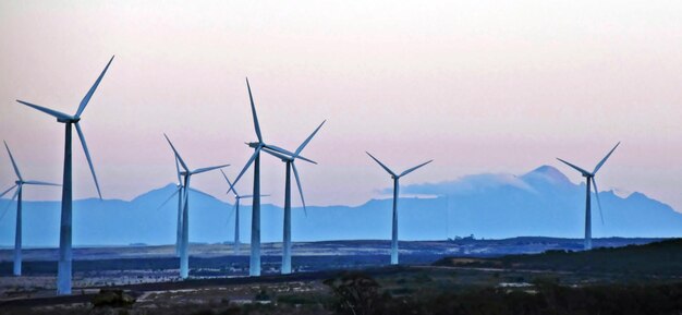 Landschaft mit Windpark im Morgenlicht