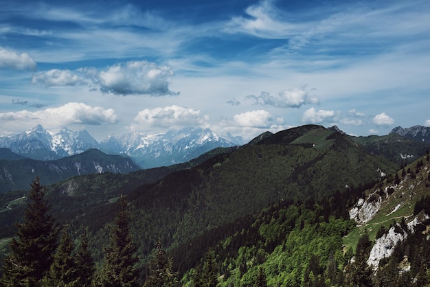 Landschaft mit Wolkenschatten über dem Triglav-Gebirge, Blick vom Golica-Berg mit grünem Waldreise-Sommer-Saisonkonzept