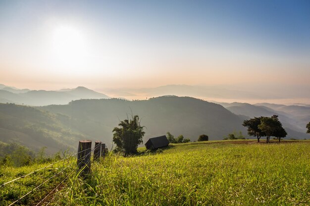 Foto landschaft mit wunderschönem blick auf die berge bei sonnenuntergang mit morgennebel in doi chang chiang rai thailand