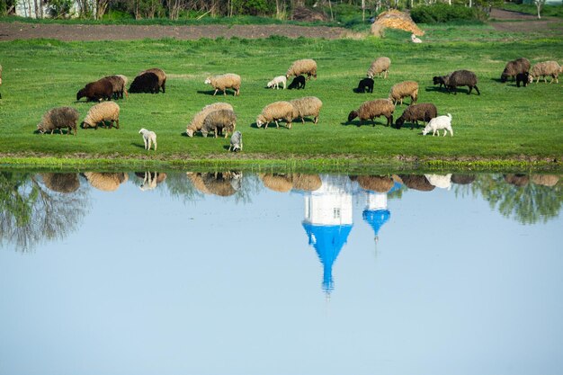 Landschaft mit wunderschöner Natur im Dorf in der Republik Moldau Landleben