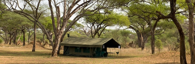 Landschaft mit Zelt, Tansania, Afrika