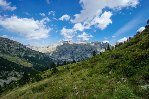 Landschaft Natürlicher Bergblick Pyrenäen im Sommer, Aragon, Spanien