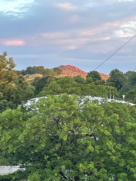 Foto landschaft - natur