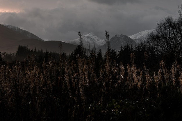 Foto landschaft - natur