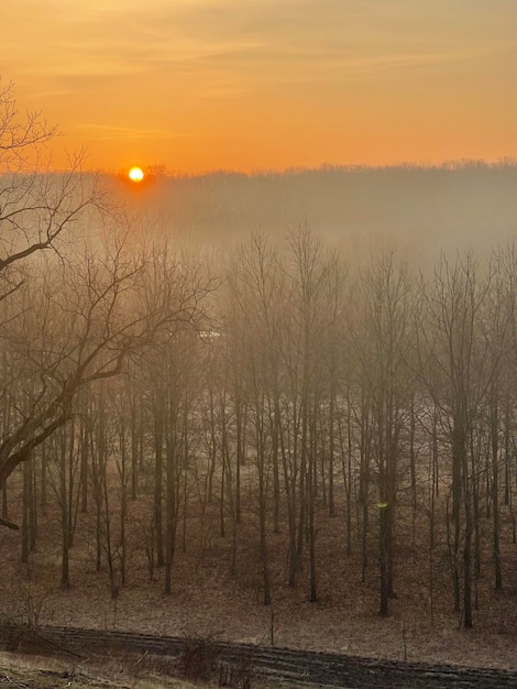 Foto landschaft - natur