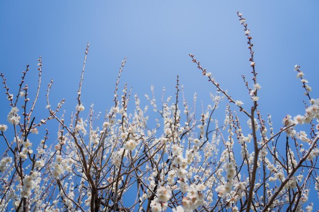 Landschaft - Natur