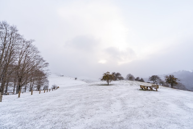 Landschaft neben der zuflucht betreten den aufstieg zum berg aizkorri in gipuzkoa. schneelandschaft im winter schneit