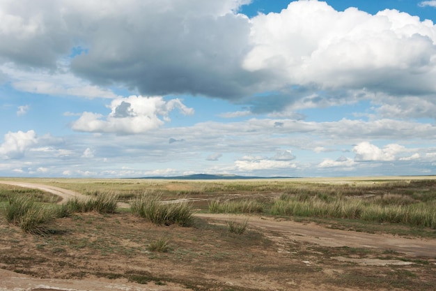 Landschaft Steppe Tyva Die Straße in der Nähe des Sees DusKhol Sonniger Tag Wolken