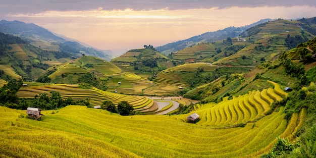 Landschaft terrassenförmig angelegtes Reisfeld nahe Sapa, Nordvietnam