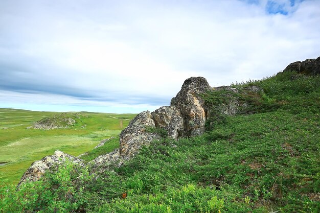 Landschaft Tundra / Sommerlandschaft im Norden Tundra, Moos, Ökosystem