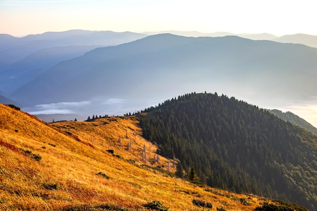 Landschaft und Natur im Hochland der ukrainischen Karpaten