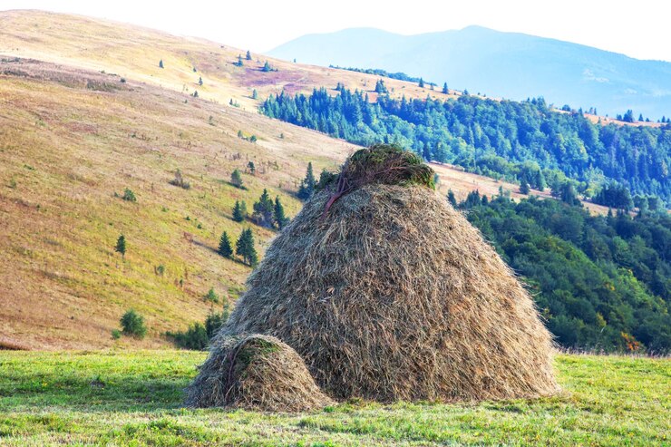 Foto landschaft und natur im hochland der ukrainischen karpaten