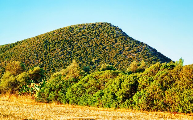 Landschaft und schöne Landschaft mit Bergen in Teulada, Carbonia-Iglesias. Panorama in Süd-Sardinien-Insel von Italien. Sardinien im Sommer. Provinz Cagliari. Gemischte Medien.