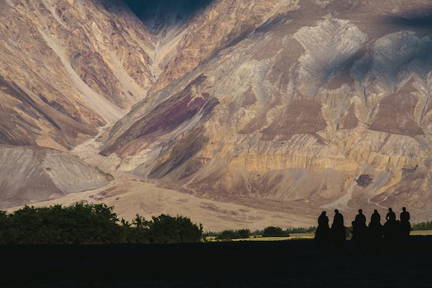 Foto landschaft von berg- und reitkamel