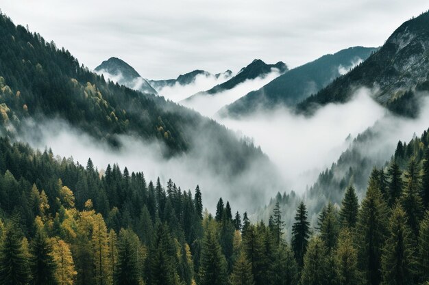 Landschaft von Bergen, die mit Wäldern und Schnee bedeckt sind, unter einem bewölkten Himmel