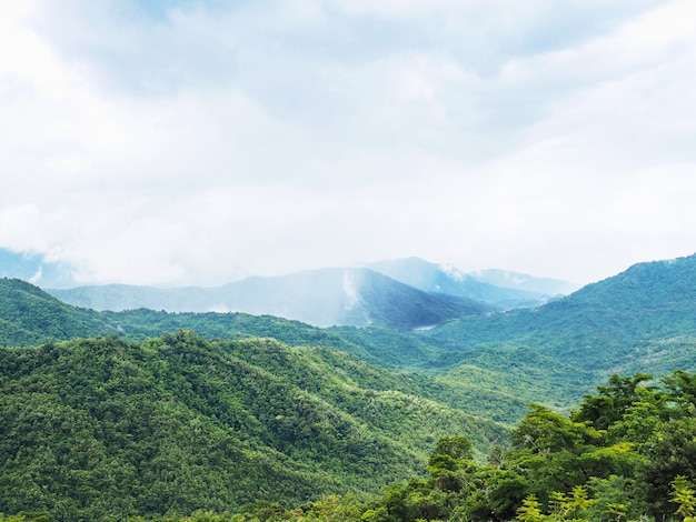 Landschaft von grünen Waldbergen mit weißem Nebel und Wolken bei Thailand