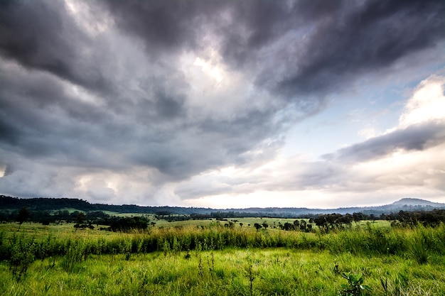 Landschaft von Grünland und Bäumen im Nationalpark Thung Salaeng Luang