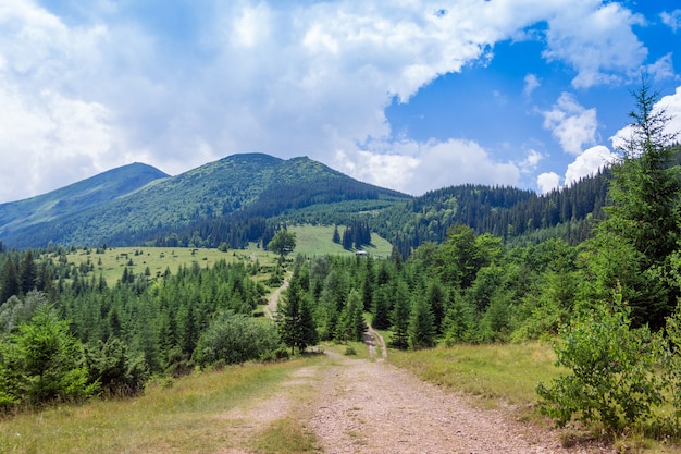 Landschaft von Karpatenbergen mit Fußweg, Tannenbäumen und Himmel