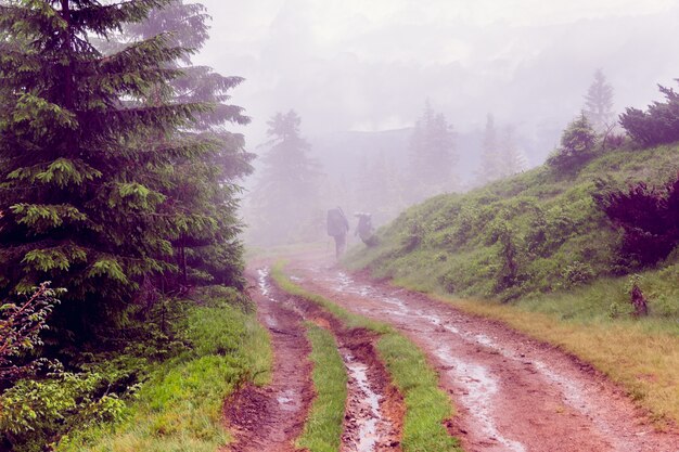 Landschaft von nebeligen Karpatenbergen mit Touristen