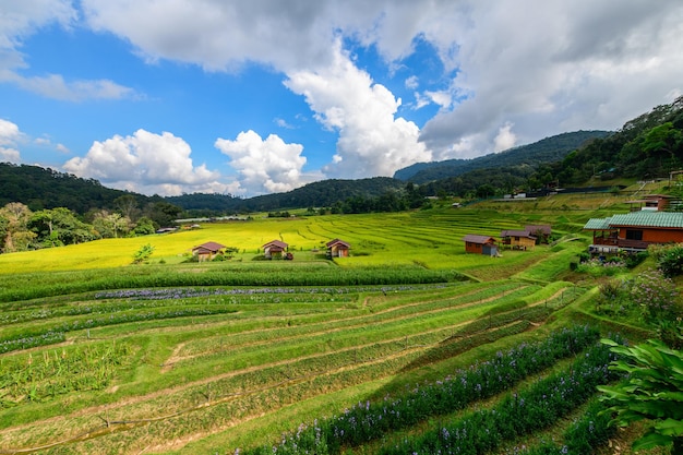 Landschaft von Reisterrassen mit Gastfamilie im Dorf Mae Klang Luang