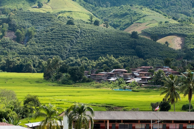 Landschaft von SangPha Dorf in NaHeaw