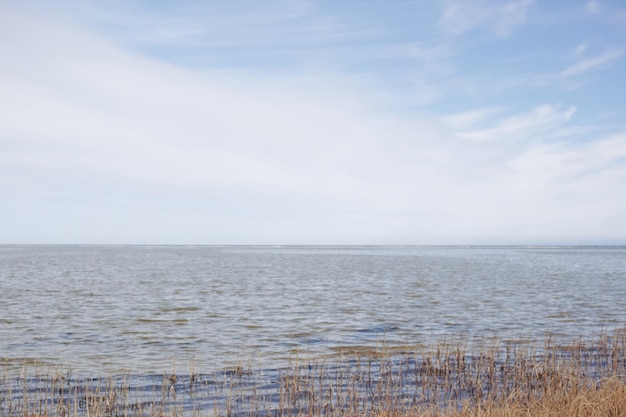 Landschaft von See oder Lagune vor einem Himmelshintergrund mit Kopierbereich Golf mit Schilf und wildem Gras, das an der leeren Küste in Norwegen wächst Friedlicher, ruhiger und schöner Ort zum Angeln in der Natur