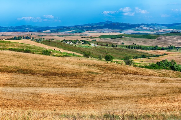 Landschaft von trockenen Feldern auf dem Land in der Toskana, Italien. Konzept für Landwirtschaft und Ackerland