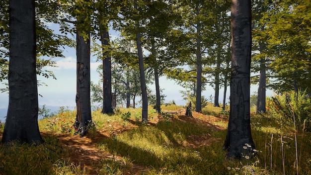 Landschaft zur Veranschaulichung nachhaltiger Entwicklungsziele und des Ökosystemschutzes Eine immersive natürliche Umgebung 3D-Rendering