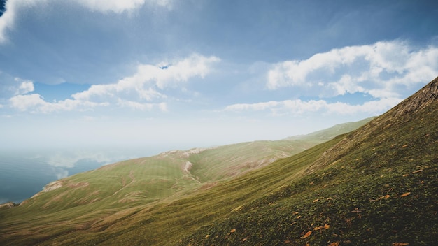 Landschaft zur Veranschaulichung nachhaltiger Entwicklungsziele und Ökosystemschutz Natürliche Umgebung einer grünen Insel ohne Bäume 3D-Rendering