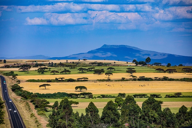 Landschaften Autobahnstraßen entlang der Stadt Ntulele Nairagiengare Narok County Kenia Ostafrika Great Rif