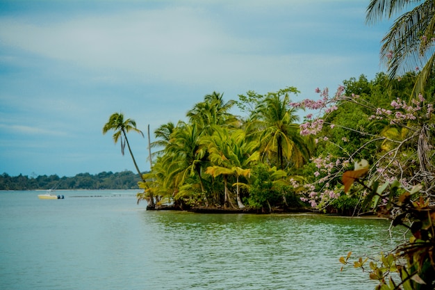 Landschaften in Bocas del Toro