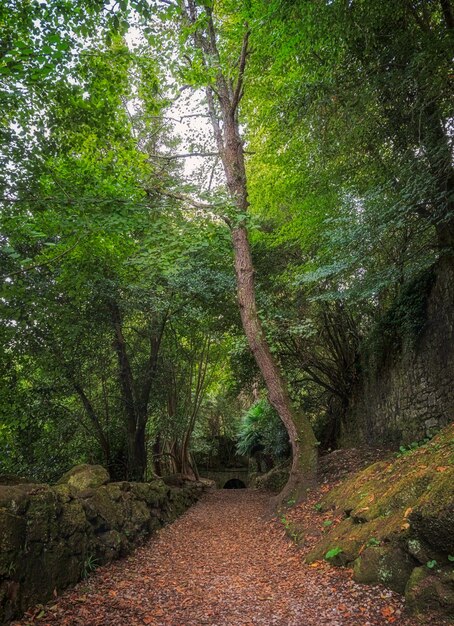 Landschaften in der Nähe der Stadt Lierganes in Kantabrien Spanien