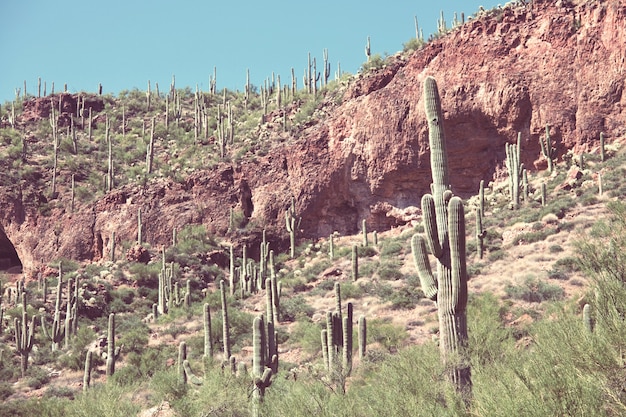 Landschaften über einem Vorort von Tucson.