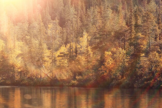 landschaftlich, Herbstlandschaftsbäume und Waldfluss und -see, Naturansicht-Herbsthintergrund